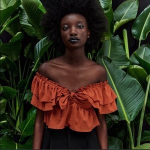 Zara Ruffled Crop Top Brick Color Size M New Never Worn NWOT